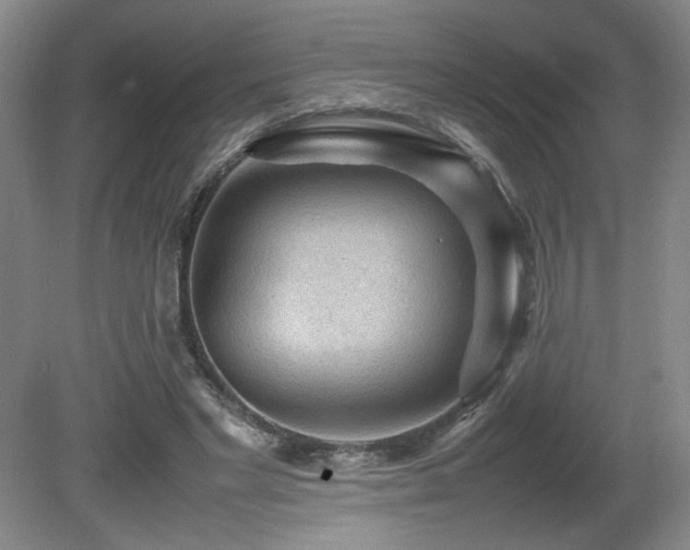 X0000080680493200612151227