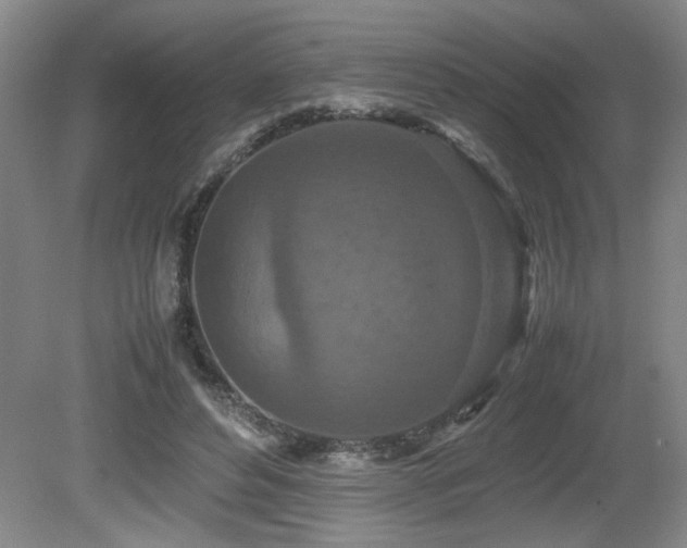 X0000080680496200612151226