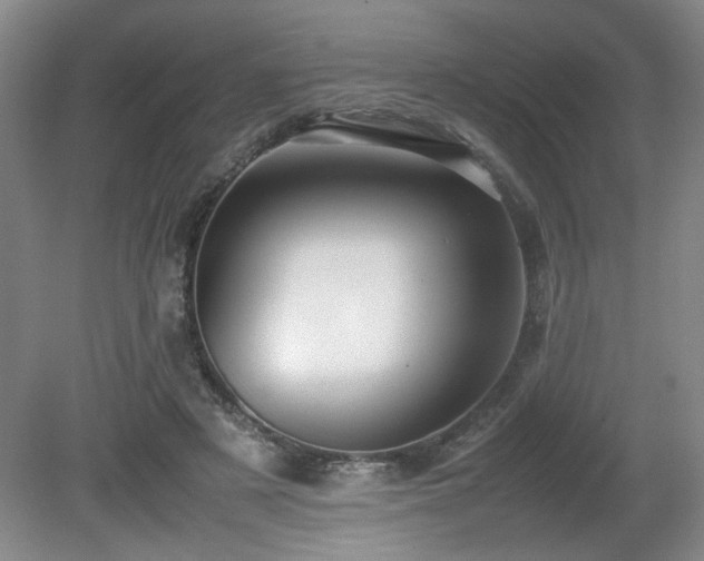 X0000080680497200612151226
