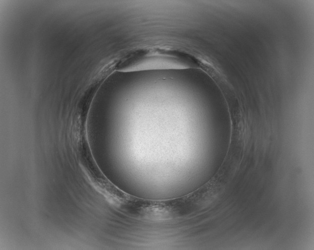 X0000080680498200612151226