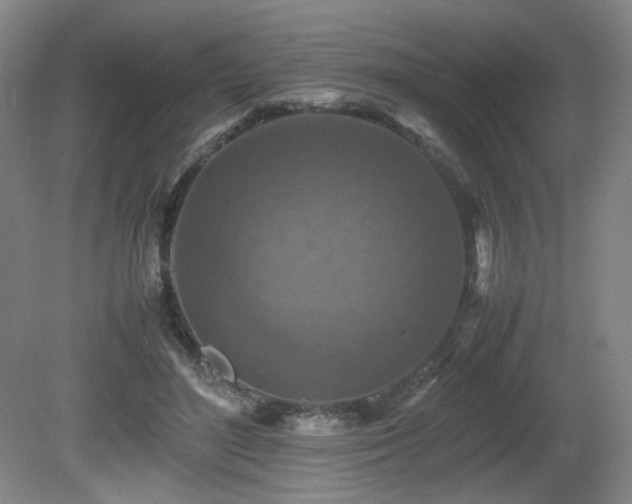 X0000080680500200612151226