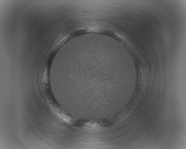 X0000080680502200612151226