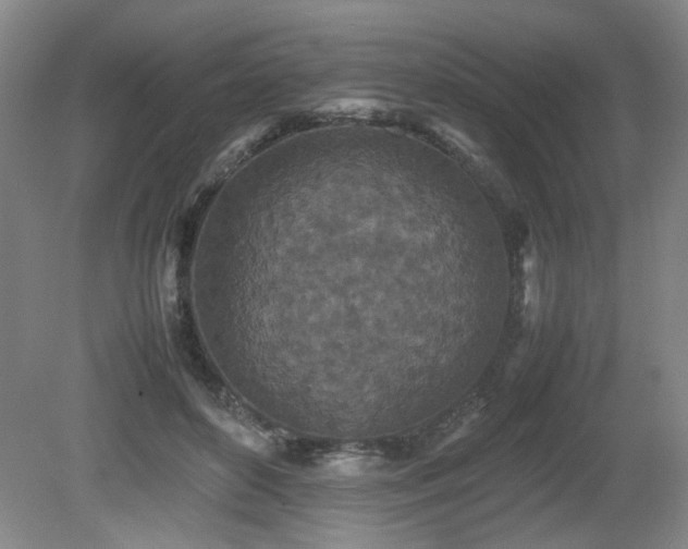 X0000080680504200612151226