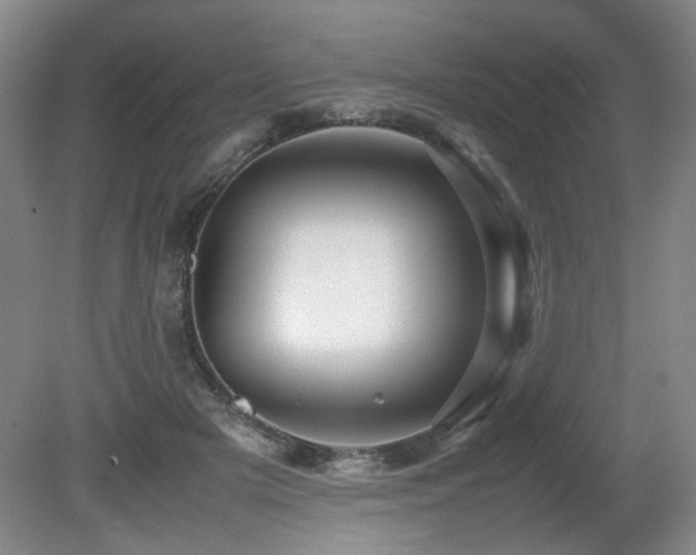 X0000080680505200612151226