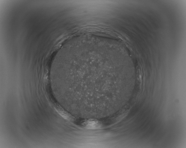 X0000080680507200612151226