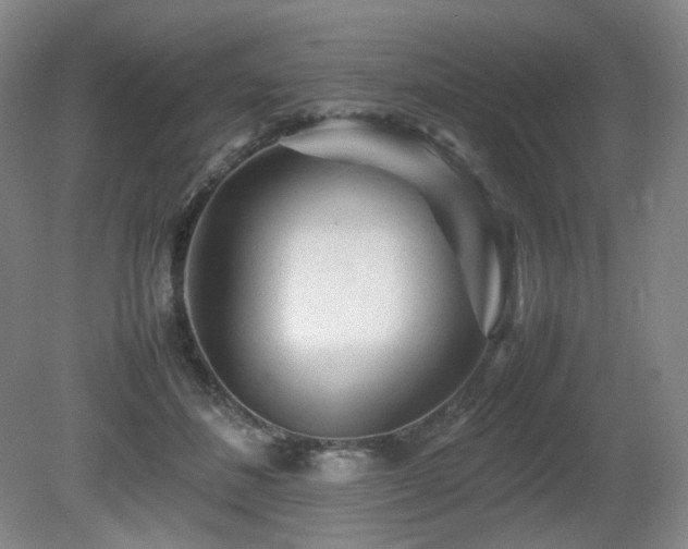 X0000080680508200612151226