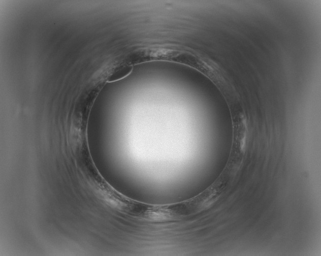 X0000080680510200612151226