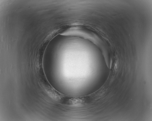 X0000080680512200612151226
