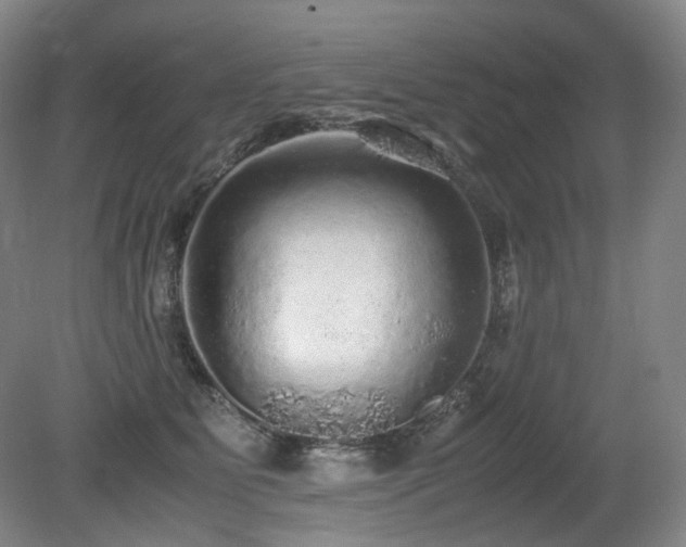 X0000080680515200612151226