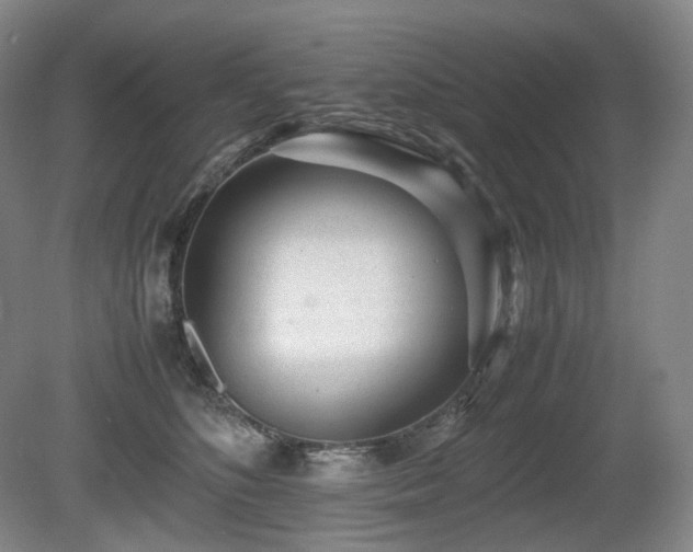 X0000080680516200612151226
