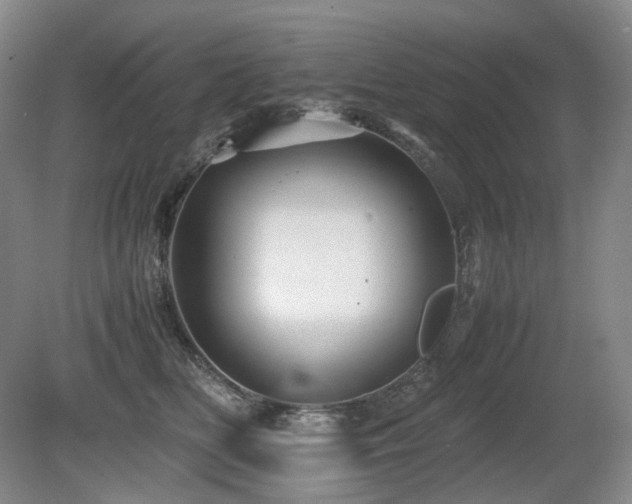 X0000080680518200612151226