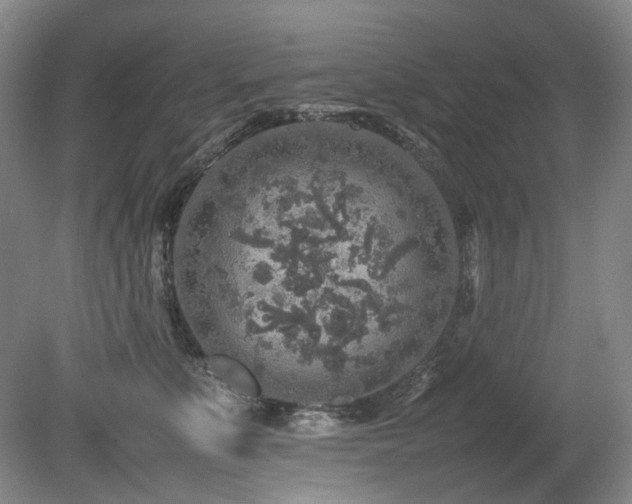 X0000080680519200612151226