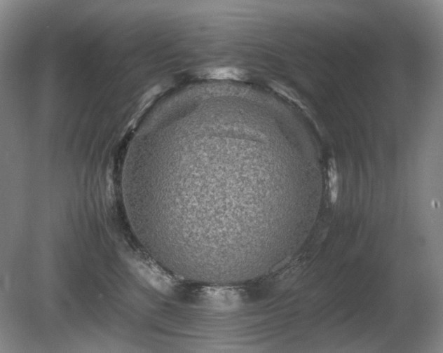X0000080680520200612151226