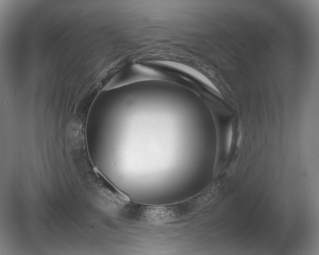 X0000080680521200612151226
