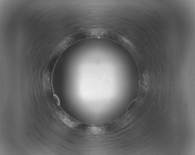 X0000080680522200612151226