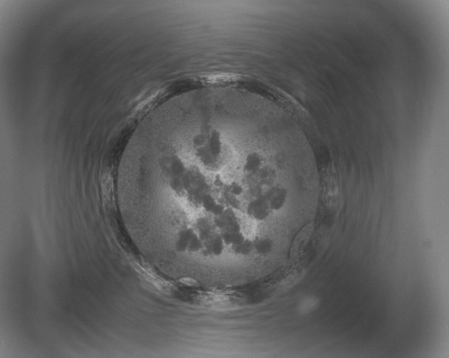 X0000080680523200612151226