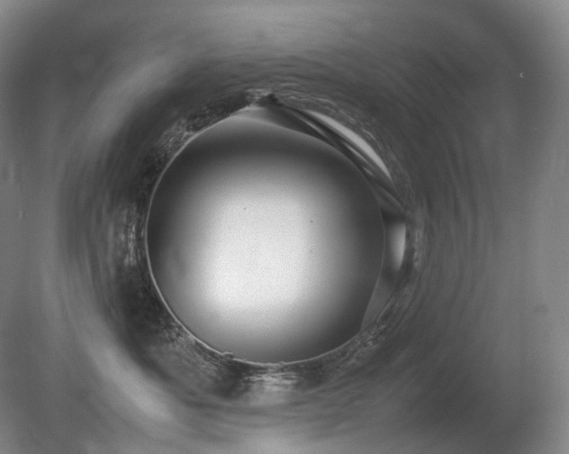 X0000080680525200612151226