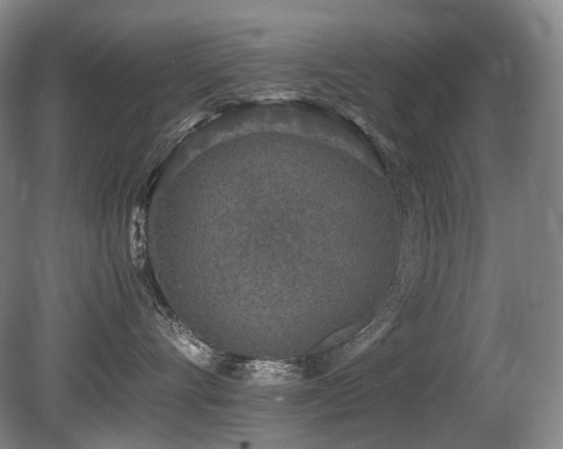 X0000080680528200612151226