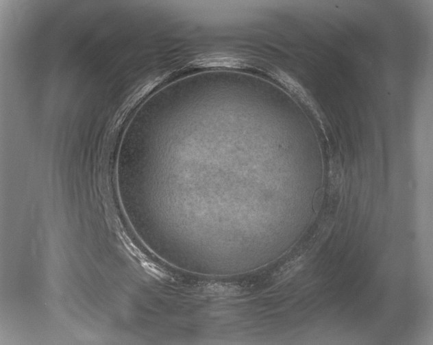X0000080680529200612151225