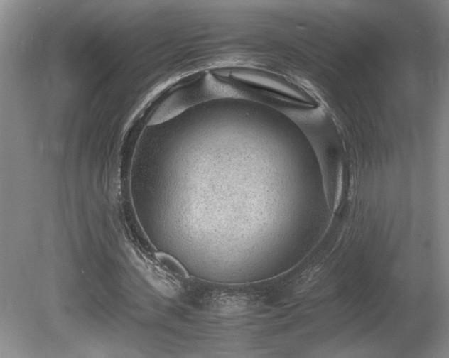 X0000080680531200612151225