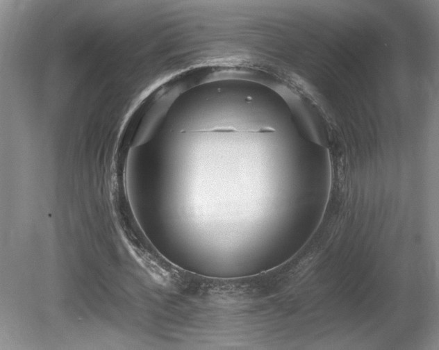 X0000080680532200612151225