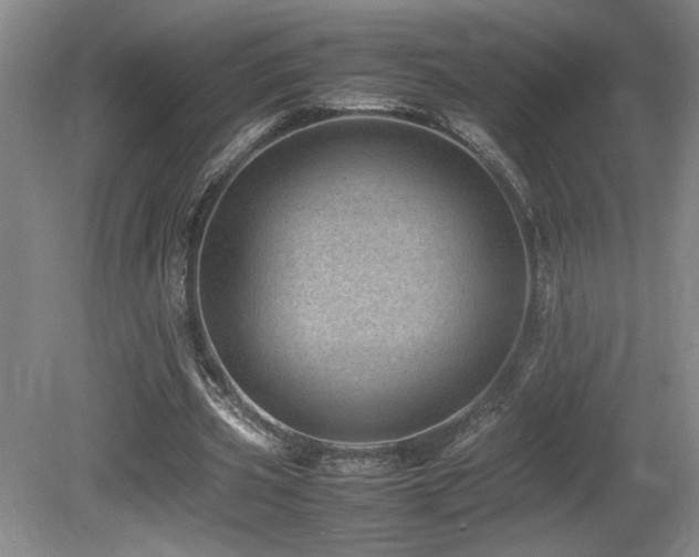 X0000080680533200612151225