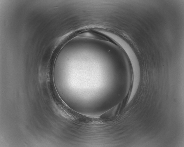 X0000080680536200612151225