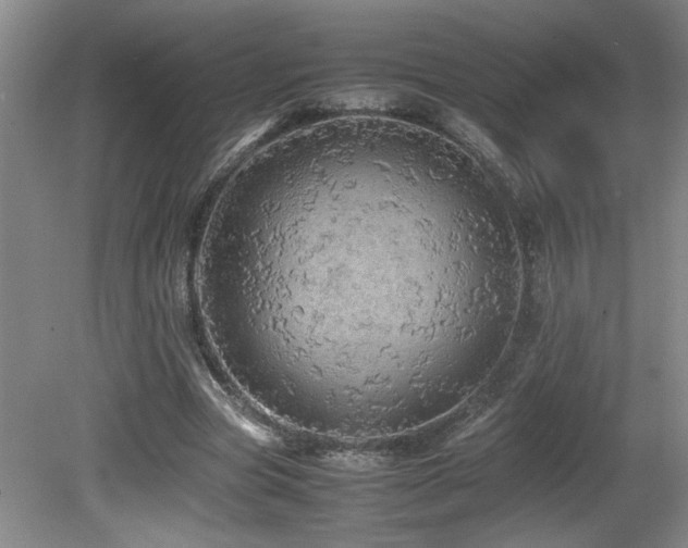 X0000080680537200612151225