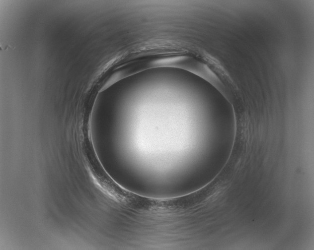 X0000080680538200612151225