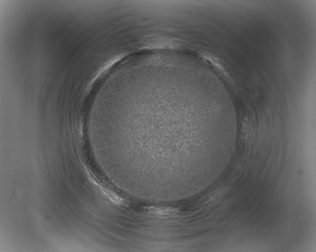 X0000080680539200612151225
