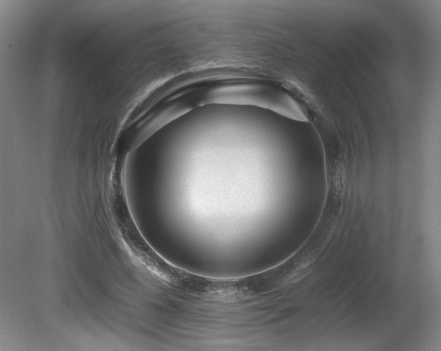 X0000080680540200612151225