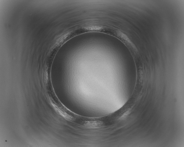 X0000080680541200612151225