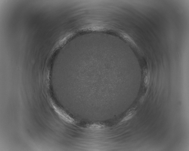 X0000080680542200612151225