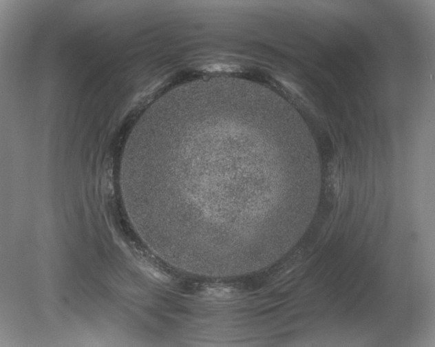 X0000080680547200612151225