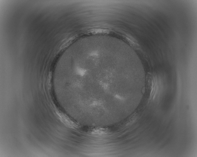X0000080680550200612151225