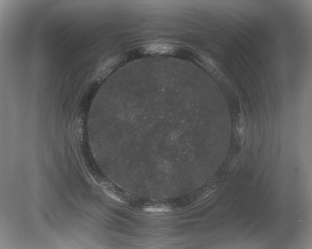 X0000080680551200612151225