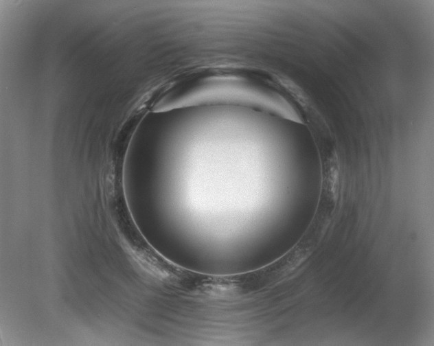 X0000080680552200612151225
