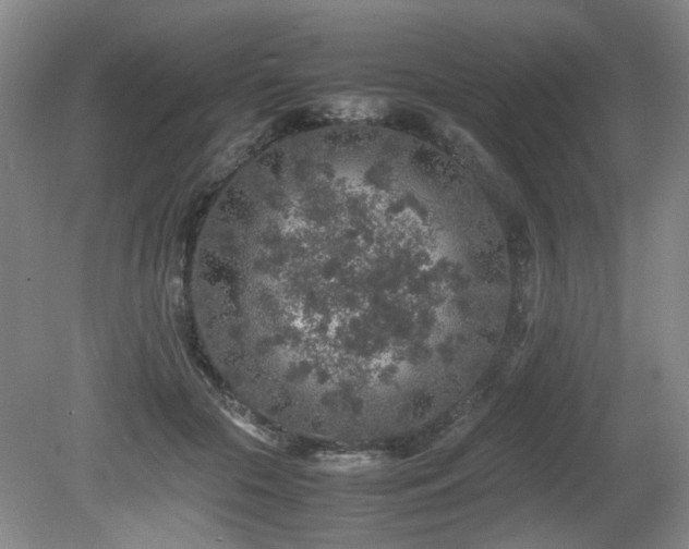 X0000080680553200612151225