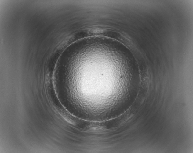 X0000080680555200612151226