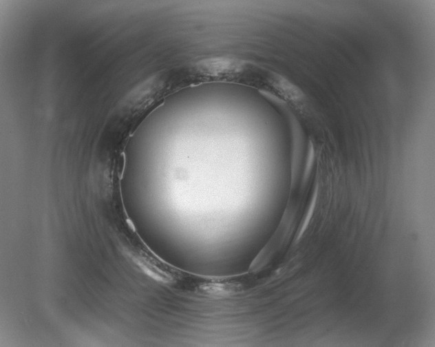 X0000080680558200612151226