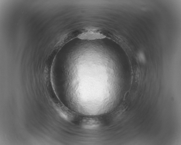 X0000080680559200612151226