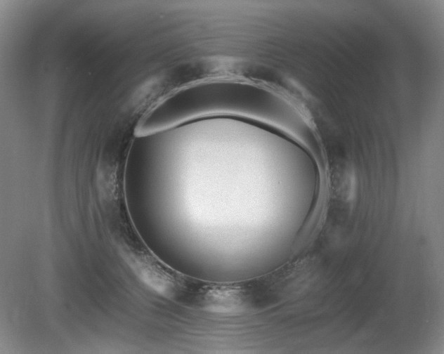 X0000080680560200612151226