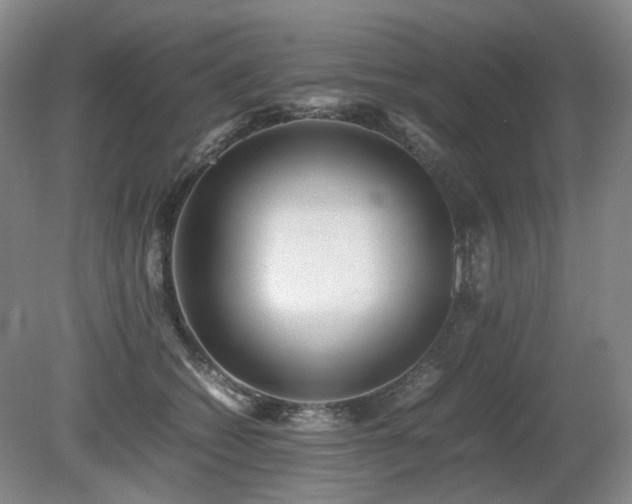 X0000080680562200612151226