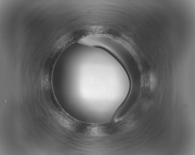 X0000080680564200612151226