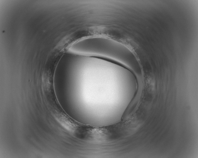 X0000080680566200612151226