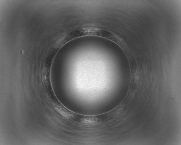 X0000080680567200612151226