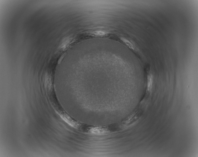 X0000080680568200612151226