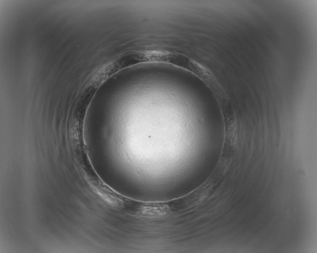 X0000080680571200612151226