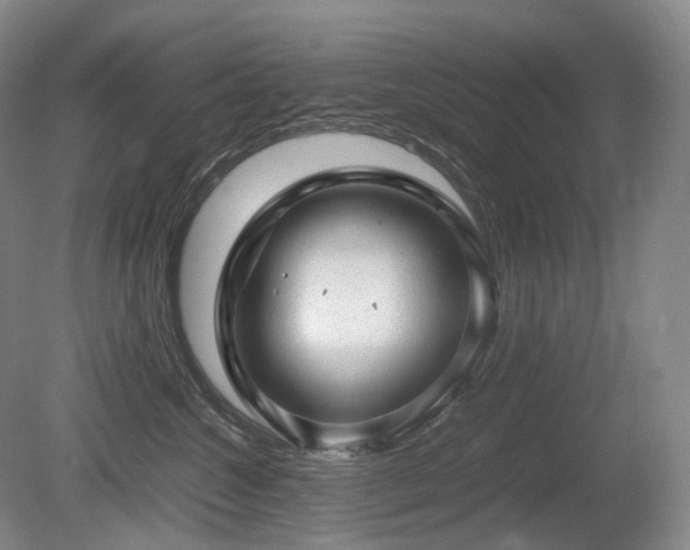 X0000080680572200612151226