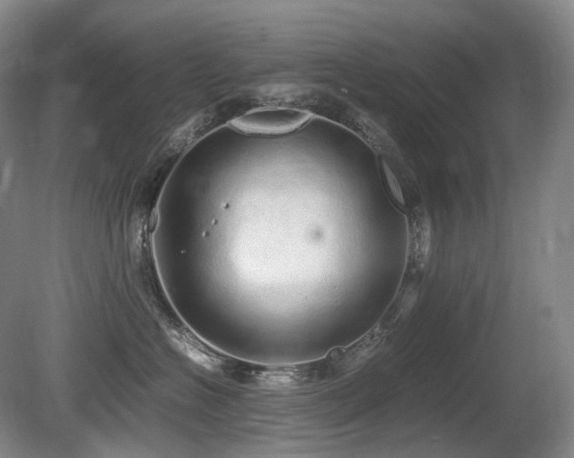 X0000080680574200612151226